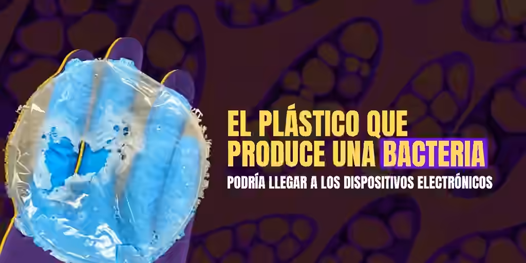 Mano con guante morado sostiene una lámina de bioplástico producido por una bacteria